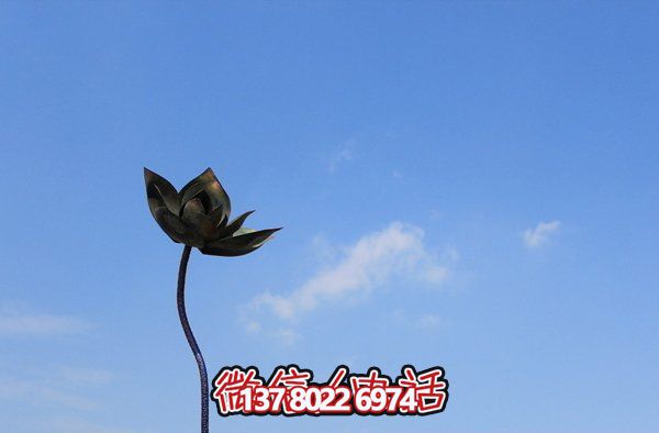 創(chuàng )意荷花銅鑄雕塑 創(chuàng )意荷花銅鑄雕塑