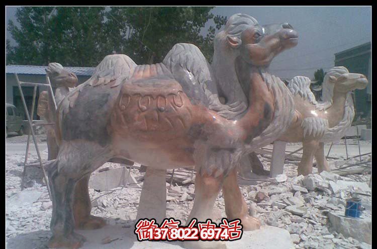 街道邊擺放的花崗巖創(chuàng )意駱駝雕塑 街道邊擺放的花崗巖創(chuàng )意駱駝雕塑