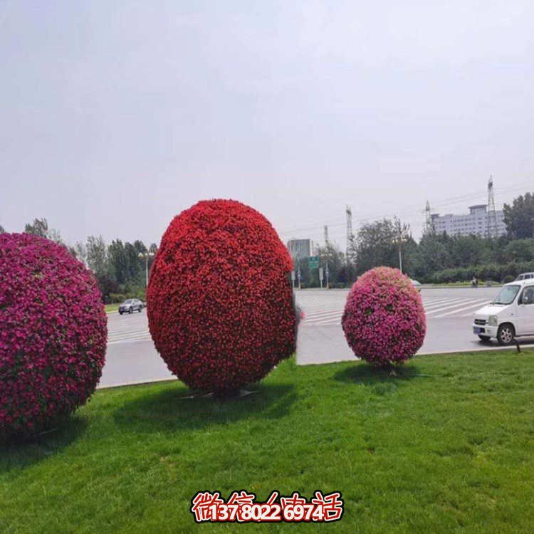 公園花架景觀(guān)植物鐵藝立體花球